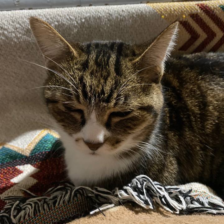 2e758acf 2e4c 43a1 a86d 0e380711dc79 1710502824661