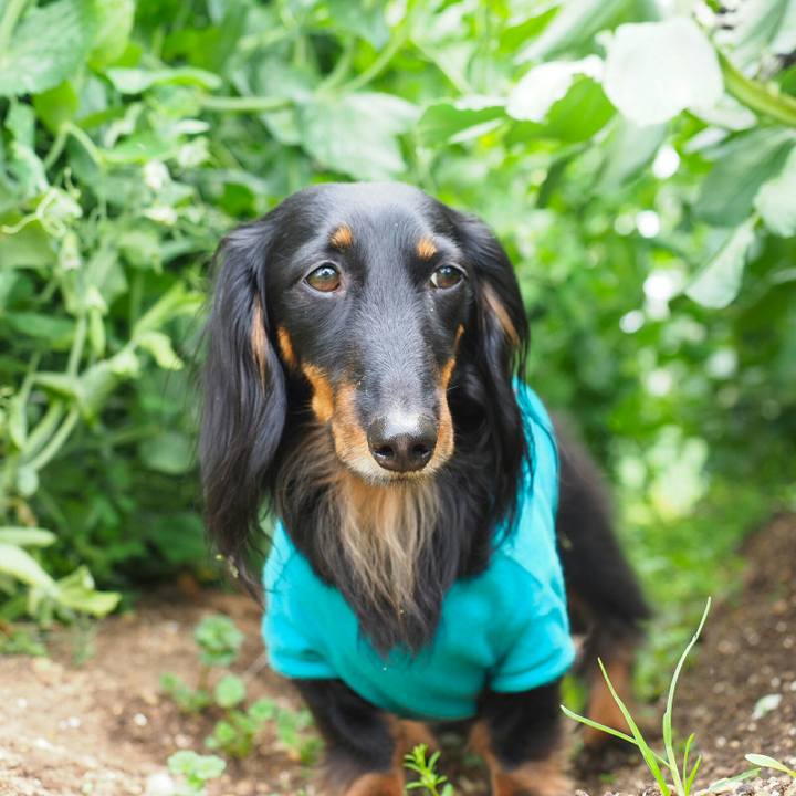 2e758c15 759f 4d01 99dd 359859a2fe5d 1555644904992