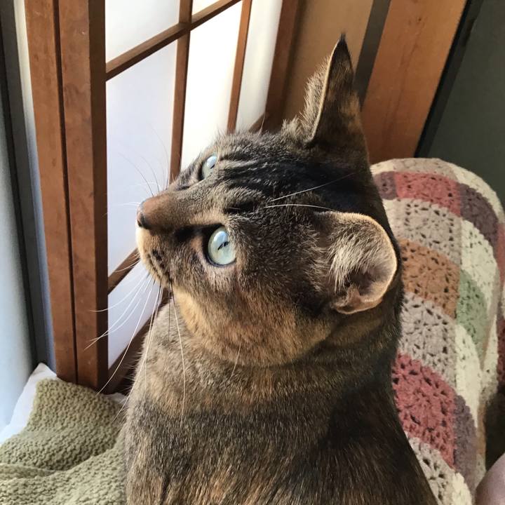 2e763e83 4acc 4cf7 886c 5abb1231f67b 1642806779849