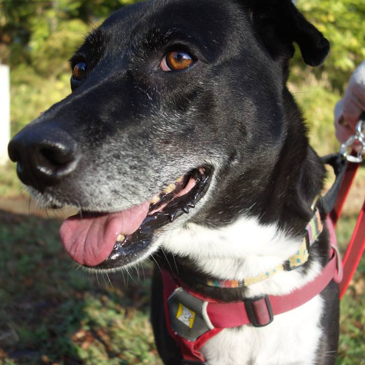 2e765f87 40c5 40ce aacb 21eab8dc8d62 1700611748604