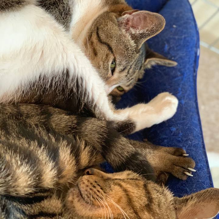 2e768152 b289 49d4 96d2 5781005678b9 1594343392820