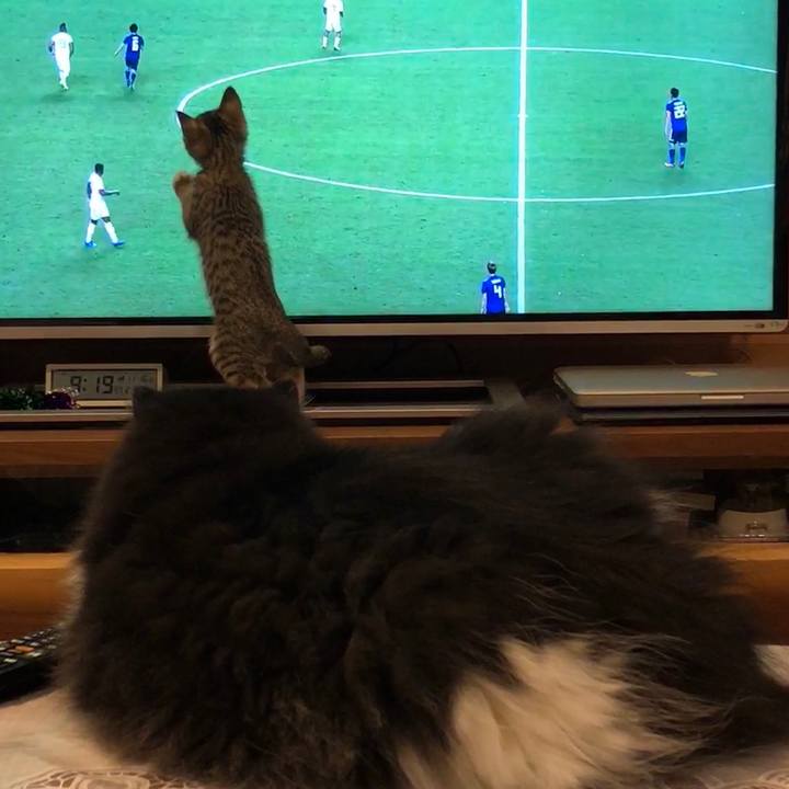 2e769086 257a 433c 897d 57ed7b8b5364 1542376322853