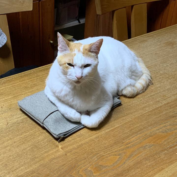 2e76b1c3 cade 41be 9626 0a2a3679891e 1651837330560