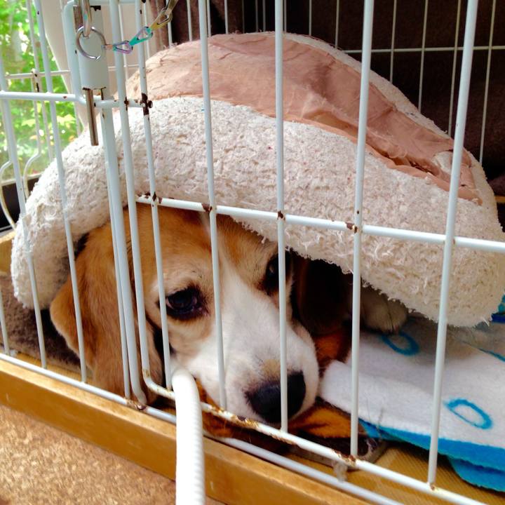 2e76bff9 e795 4010 84f3 79064aecb610 1747019022558