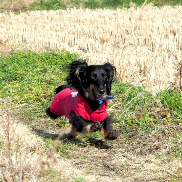 2e76d171 10bf 4c7e 95e9 c5b50537e4d3 1547441939997