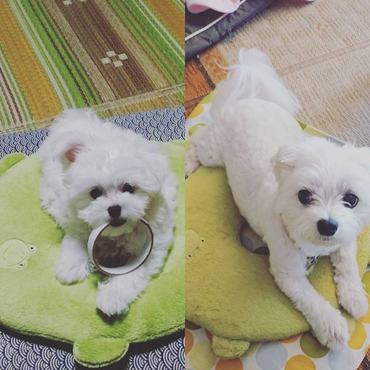 2e76e6a5 b600 473f b03c 67e91003f27a 1535514468677