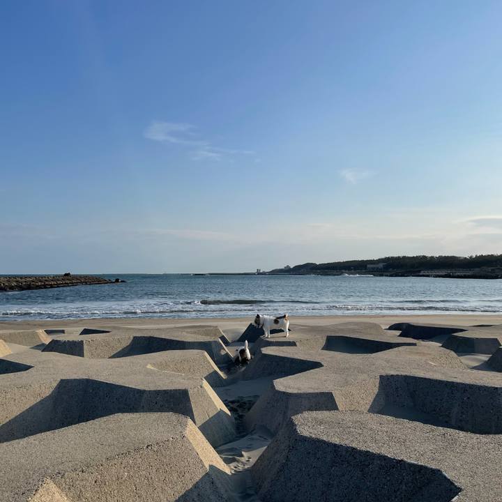 2e76f166 6f63 4945 87a1 3173d14d5507 1677632213061