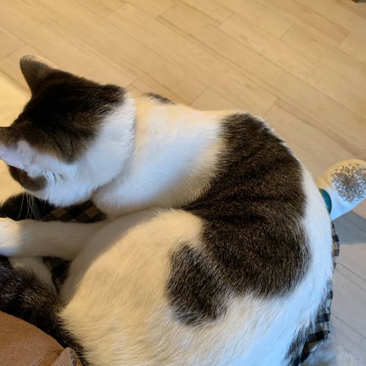 2e7708e0 5152 4681 866a 56965b071c3d 1572929446616