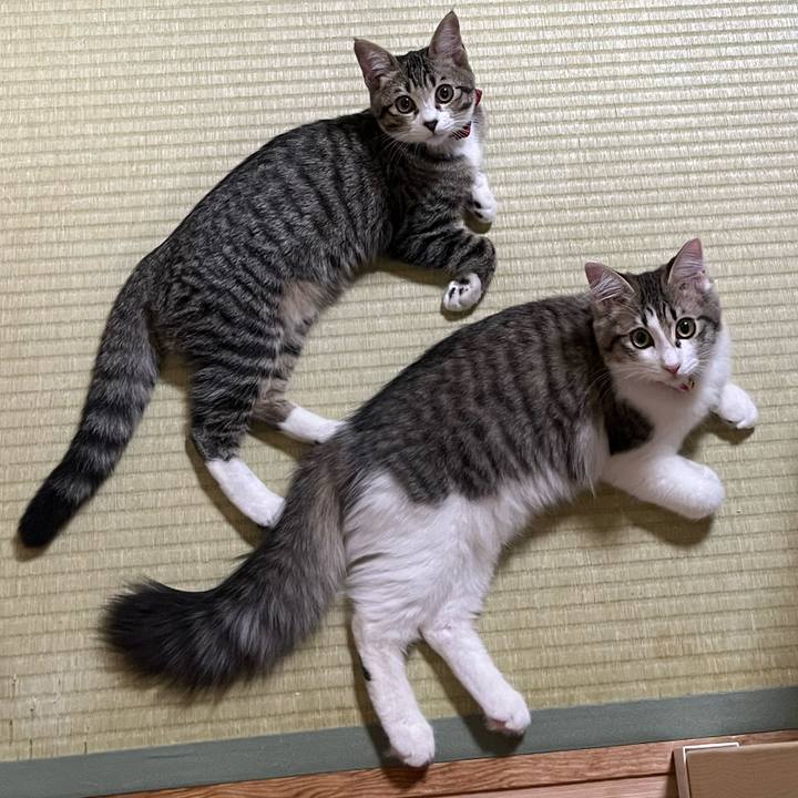 2e778ba1 2a56 4e02 8019 3883266d02a1 1693309851305