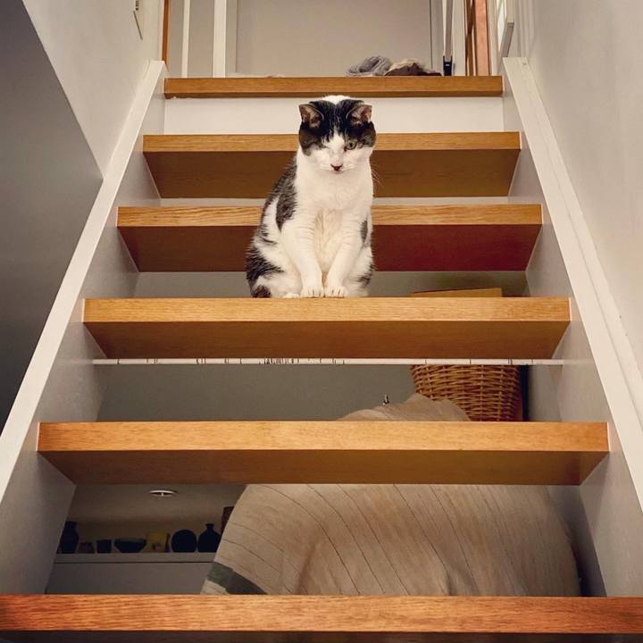 2e77bfc2 eafd 48f4 9fc4 ee92aac92403 1613118593780