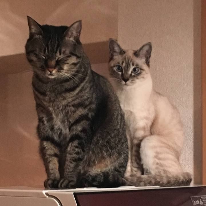 2e77c9c0 5073 46e1 92b1 17e635bf2b44 1546766621953