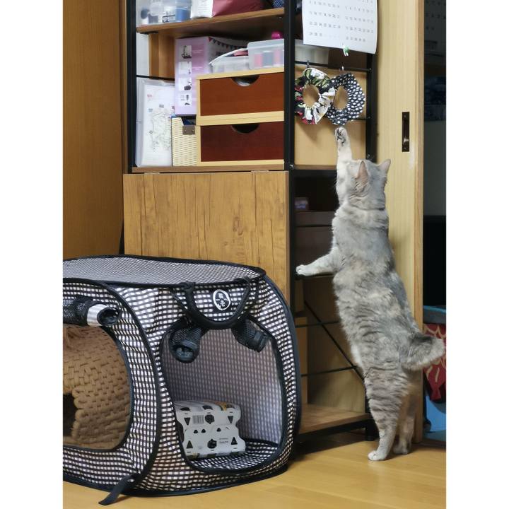 2e77ea81 0ed6 40e0 92bb 1e9e02b3e99d 1652015958584