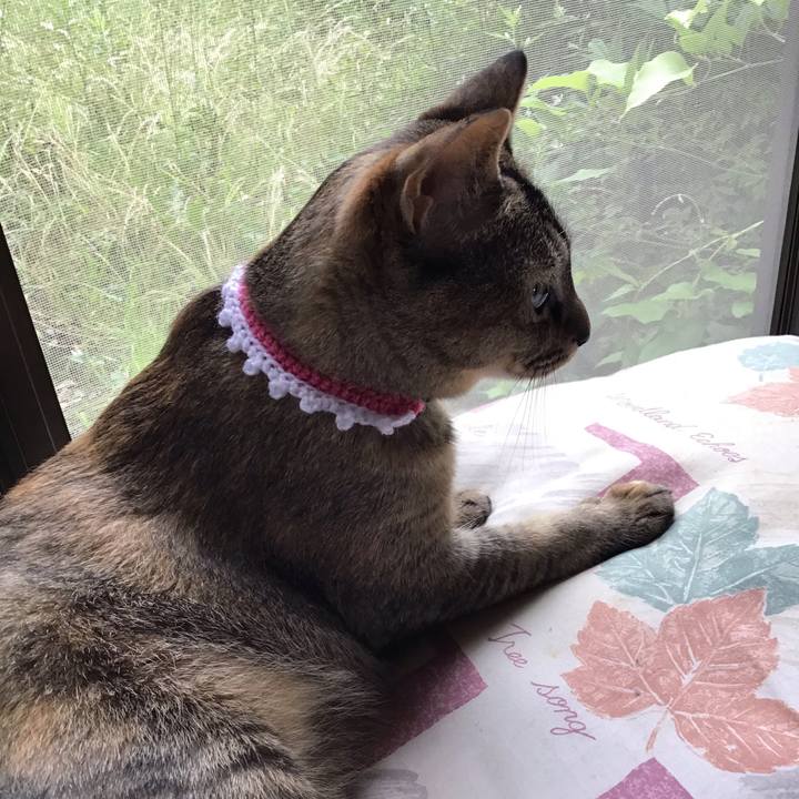 2e780d94 81fc 481e a927 77911ab95443 1592718429263