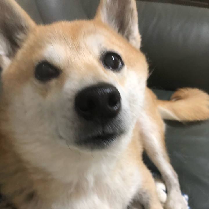 2e781679 2e25 4e43 a301 610664561467 1577319543965