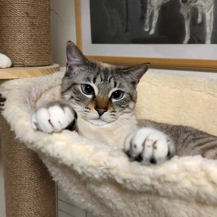 2e782592 3127 4b01 900d 4e2c716c8ac7 1648448054889