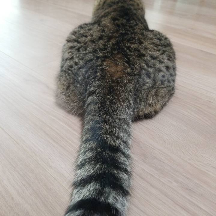 2e7858f5 7e56 463f ab21 027c75f37644 1562536139624