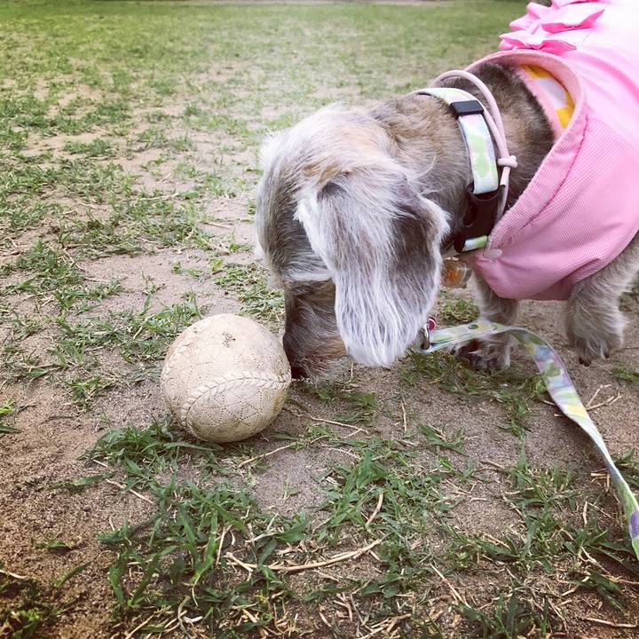 2e786e70 a370 4cd9 b4ba f03d9228fce1 1522931521612