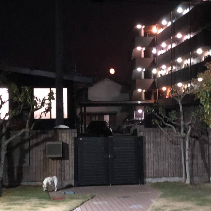 2e788464 5532 4e0c 94a2 59a5666576bc 1586340419615