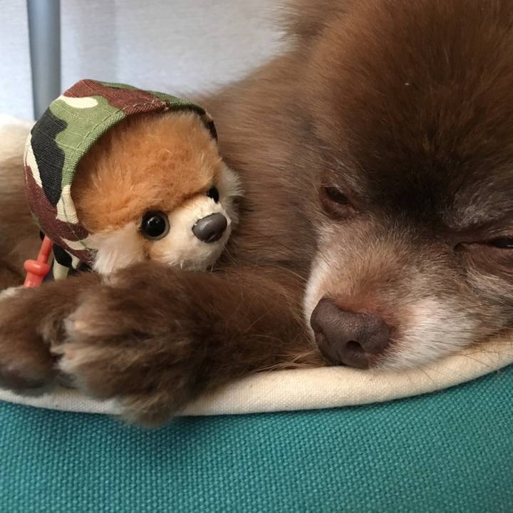 2e78acbb aa52 4372 9b57 856597240e84 1520999328244