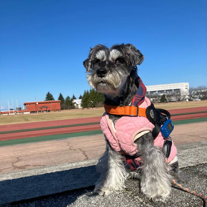 2e78f254 9228 4690 a44d d890ea58d40f 1737280492520