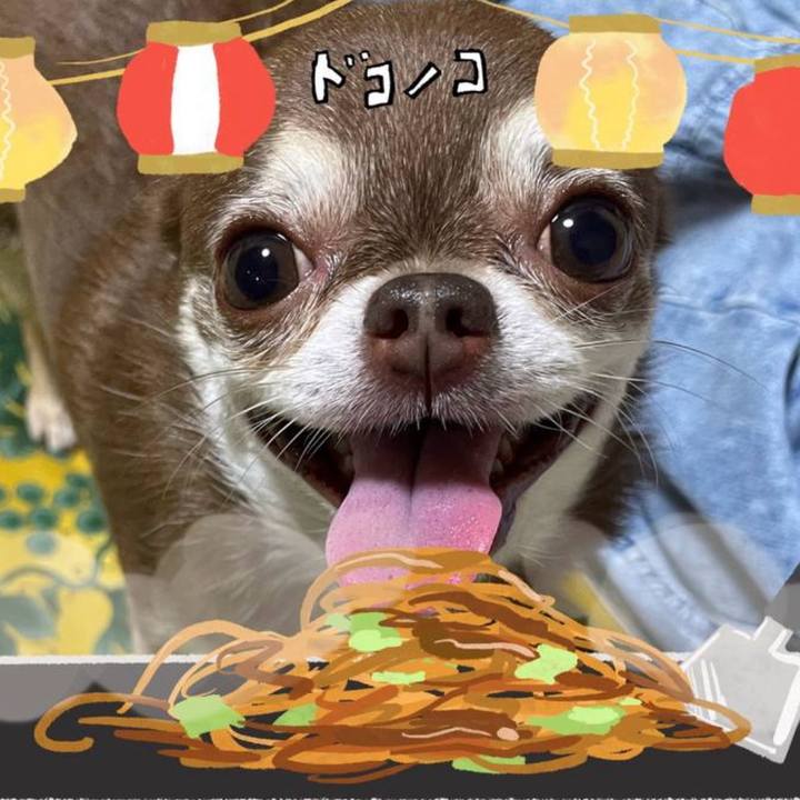 2e78f681 6915 4757 b9d2 36295b280bbc 1755136008536