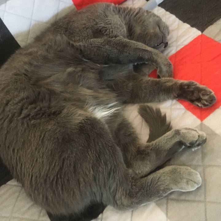 2e78fe59 2f8a 48d3 a505 59d81352f082 1657066571298