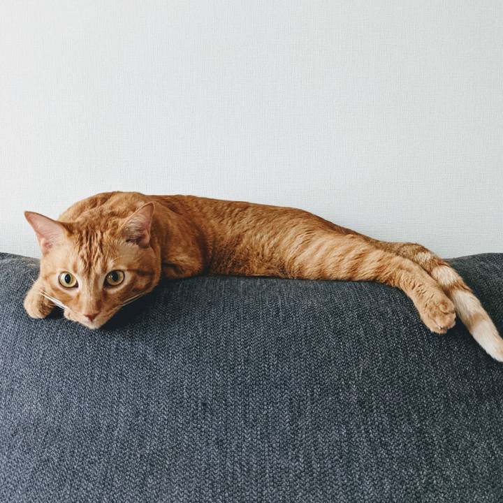 2e7919bb 1e1c 420a bb0c 046c47165fb8 1630557957303