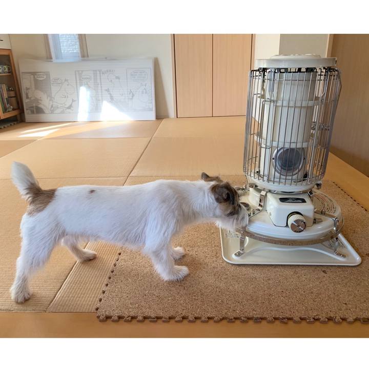 2e792624 8669 47f4 87fc d5236f688080 1573516938250