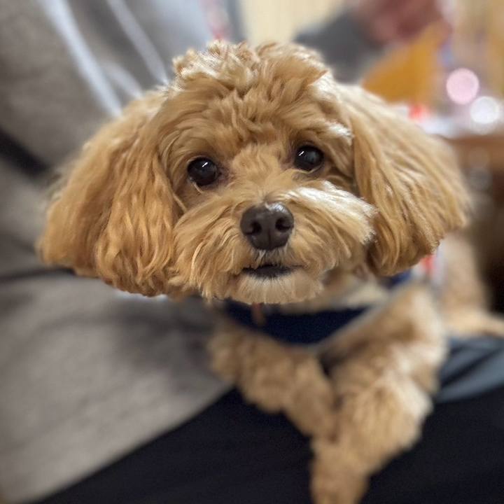 2e7928ba 0f7d 4089 bf9d 5294c93b5e42 1734000675714