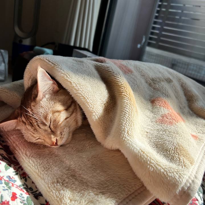 2e792ac6 2eec 4177 b65e 3e46c1936e77 1728708297389