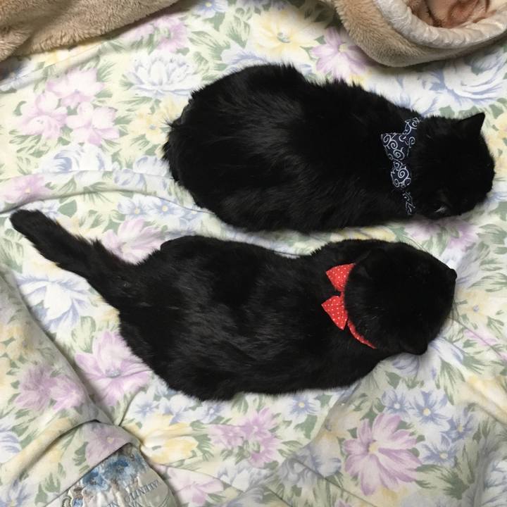 2e7940c9 bec2 40d1 aa3c e52820e9e974 1549975881352