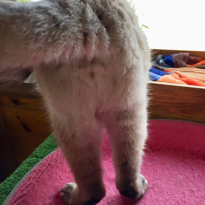 2e795f03 e5a2 4cdb 9ca2 835eeb7e5973 1556946193997