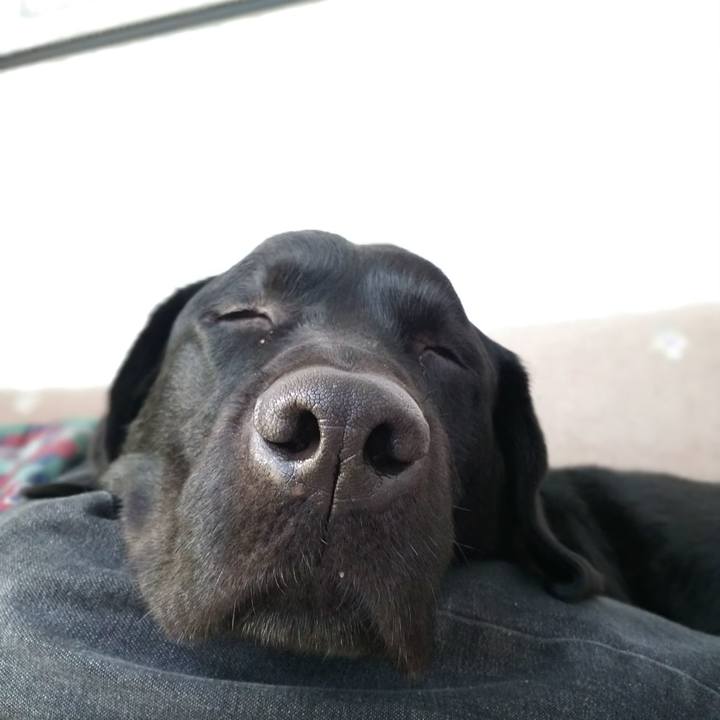 2e7975af 68be 4eab b8fb c255faf7c9d3 1691809053145