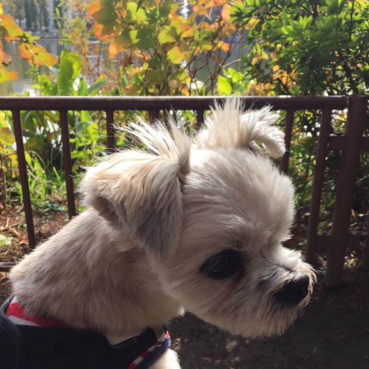 2e797802 0998 4a6f a47a fa6b5a71237c 1542522245145