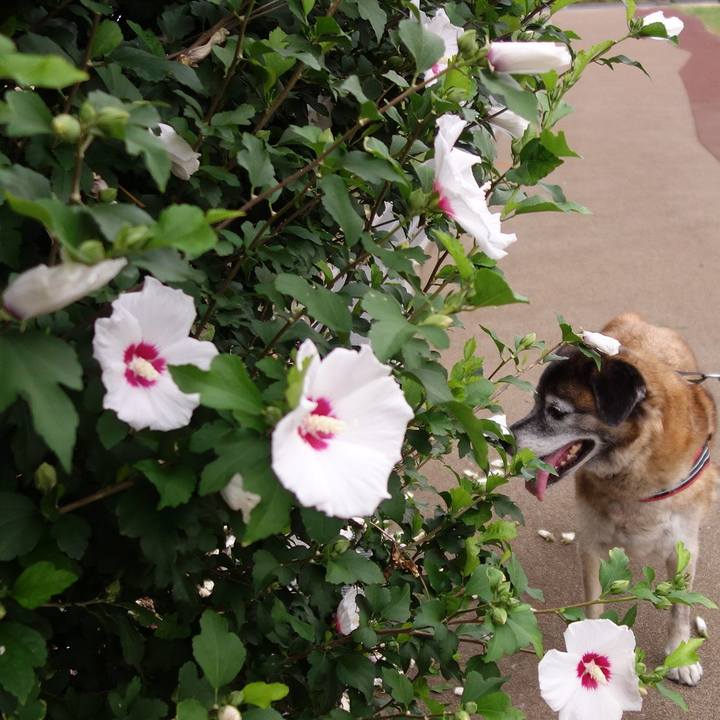 2e79bb02 09a1 450a 9a7c 161547e5f6d2 1565568979402