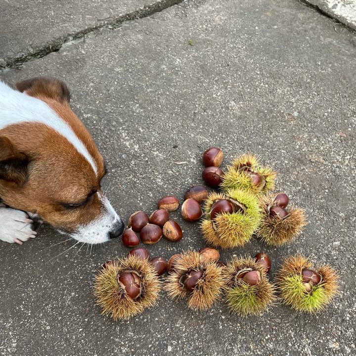 2e79bffa 9e05 46b9 9724 78264ffb8421 1633762526388