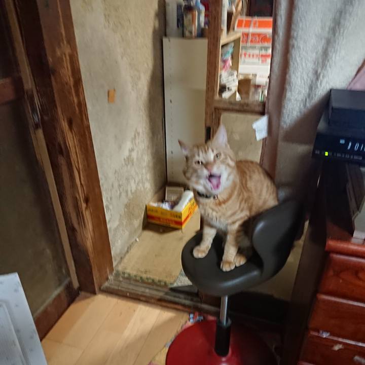 2e79e326 b270 419b bec8 5bf17d02b688 1646389525669