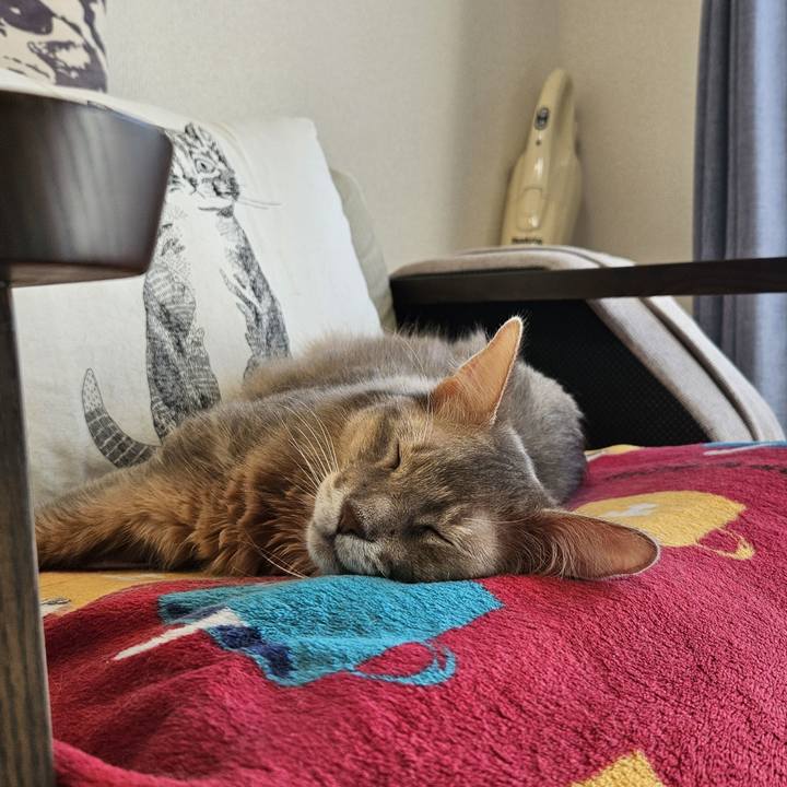 2e7a2b0c fb54 48c3 94f1 6a66e9196026 1700124691113