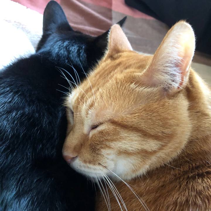 2e7a4b00 386d 4440 965b e1b36ebf15a0 1713652783444