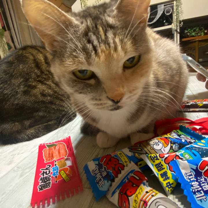 2e7a96fb ca34 40a5 861a 21d844f761e9 1608477768127