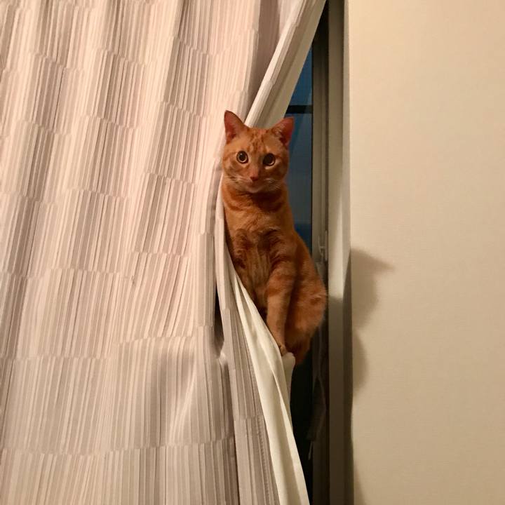 2e7acfe5 0d79 48b0 93a0 6eb12203bfe6 1614690016914