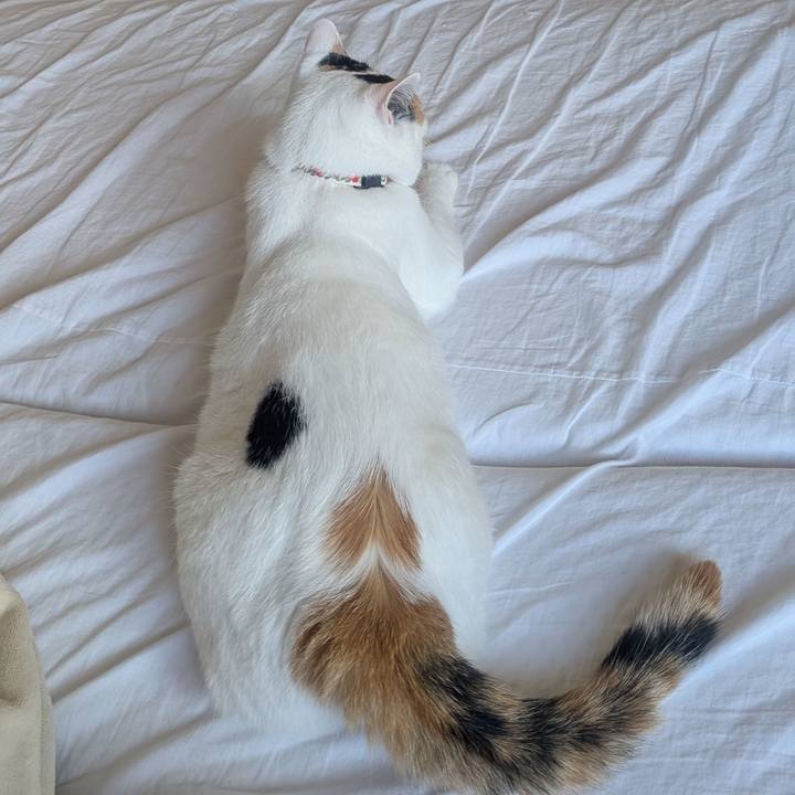 2e7ad7c5 db63 40cc 9bb9 6d980c69c831 1753746982831