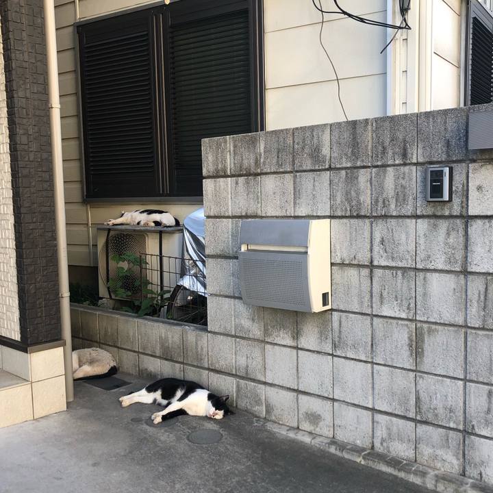 2e7afbe2 a8e9 40ff 9294 8cbd26829072 1568317411476