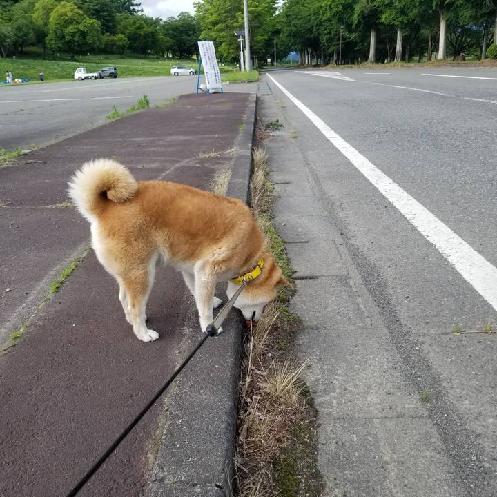 2e7aff07 ebd0 466b 921c 0555fa7b8392 1686645201113