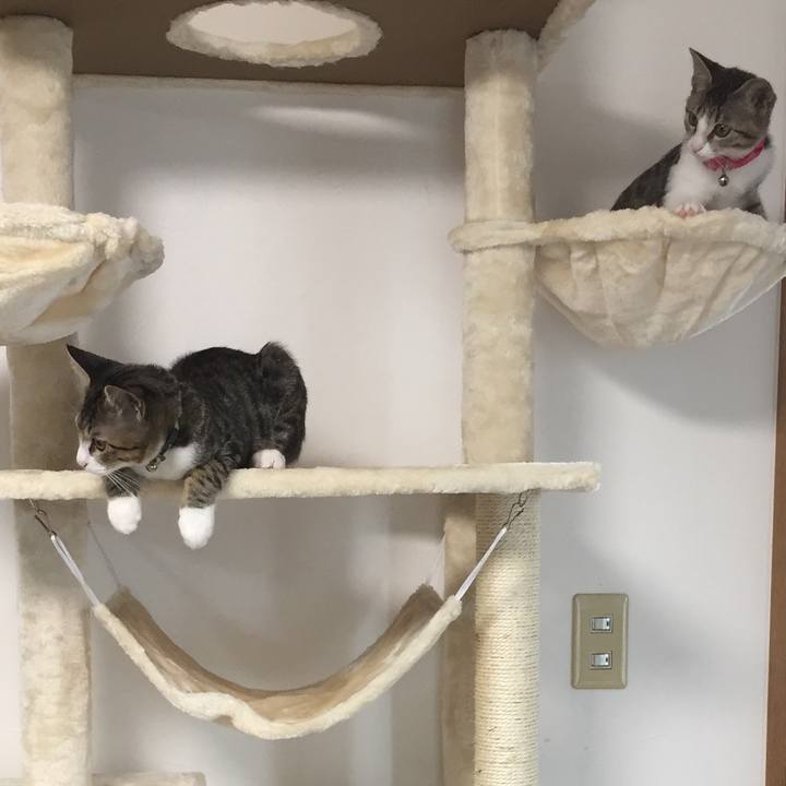 2e7b0ed5 48ce 43b7 8cc0 a87ad06720ae 1657796080550