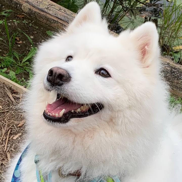 2e7b4497 cad8 4b0c bba1 492b93ef28ef 1603586410162