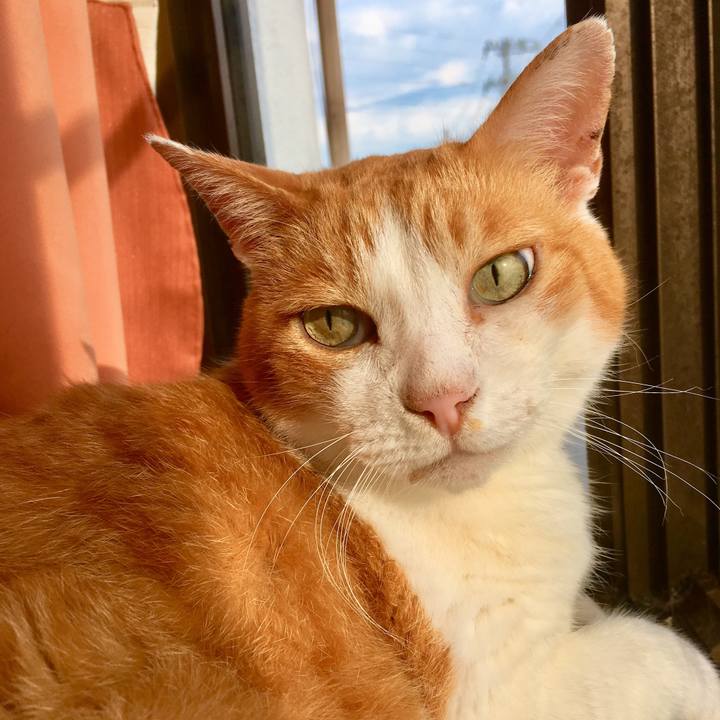 2e7b6bb5 21e2 44ba a642 5e9caf3befe6 1564386348511