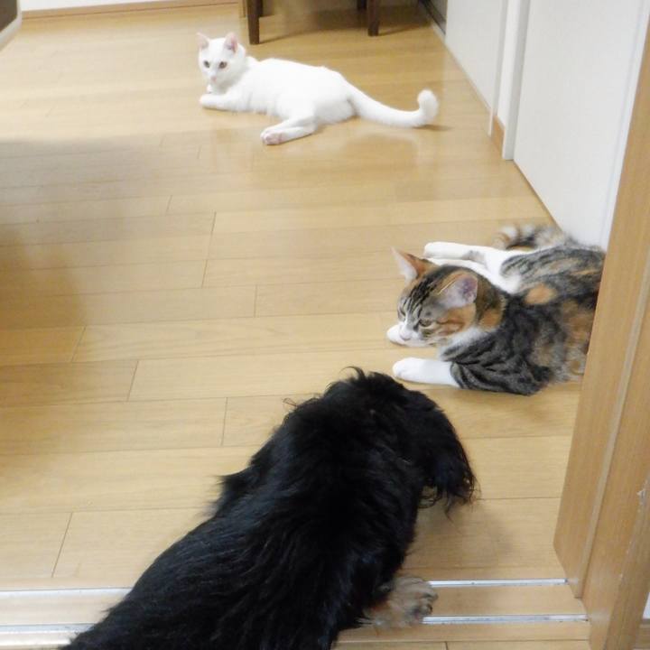 2e7b71bc d69a 4cc8 97b8 8e6e5ef533f7 1633569167203