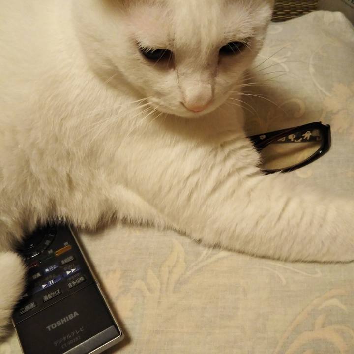 2e7bb09a a852 48b3 9bab 636e11f2b42a 1572360930302