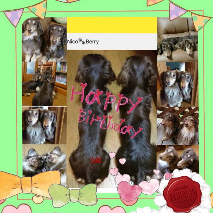 2e7bb876 1dda 44f5 8899 b4033d72f4fd 1515568788392